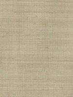 Ruslan Grey Grasscloth Wallpaper 262230234 by Kenneth James Wallpaper for sale at Wallpapers To Go