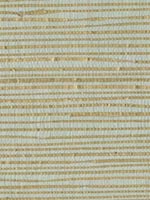 Arina Turquoise Grasscloth Wallpaper 262230249 by Kenneth James Wallpaper for sale at Wallpapers To Go