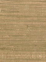 Tereza Copper Foil Grasscloth Wallpaper 262230250 by Kenneth James Wallpaper for sale at Wallpapers To Go