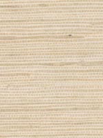 Kostya Cream Grasscloth Wallpaper 262265624 by Kenneth James Wallpaper for sale at Wallpapers To Go