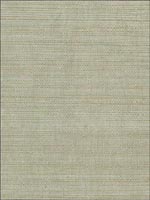 Myoki Neutral Grasscloth Wallpaper 269330237 by Kenneth James Wallpaper for sale at Wallpapers To Go