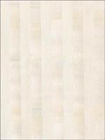 Hakaku Birch Wood Veneers Wallpaper 269330259 by Kenneth James Wallpaper for sale at Wallpapers To Go