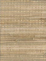 Zoho Neutral Foil Grass Wallpaper 269330271 by Kenneth James Wallpaper for sale at Wallpapers To Go