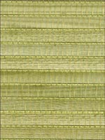 Gisei Green Grasscloth Wallpaper 269354729 by Kenneth James Wallpaper for sale at Wallpapers To Go
