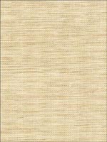 Kenshin Neutral Grasscloth Wallpaper 269354786 by Kenneth James Wallpaper for sale at Wallpapers To Go