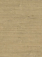 Chuso Wheat Grasscloth Wallpaper 269365429 by Kenneth James Wallpaper for sale at Wallpapers To Go