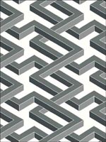 Luxor Black and White Wallpaper 1051002 by Cole and Son Wallpaper for sale at Wallpapers To Go