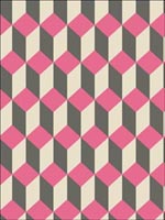 Delano Pink and Black Wallpaper 1057033 by Cole and Son Wallpaper for sale at Wallpapers To Go