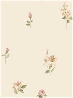 Floral Wallpaper PP27724 by Norwall Wallpaper for sale at Wallpapers To Go