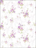 Floral Scroll Design Wallpaper PP35510 by Norwall Wallpaper for sale at Wallpapers To Go