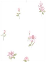 Floral Wallpaper PP35522 by Norwall Wallpaper for sale at Wallpapers To Go