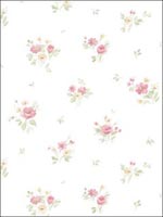 Floral Wallpaper PP35540 by Norwall Wallpaper for sale at Wallpapers To Go