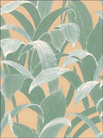 Leaves Tropical Wallpaper AI40305 by Seabrook Wallpaper for sale at Wallpapers To Go