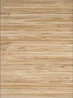 Grasscloth Wallpaper W30371616 by Kravet Wallpaper for sale at Wallpapers To Go