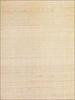 Grasscloth Wallpaper W320516 by Kravet Wallpaper for sale at Wallpapers To Go