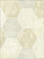 Hexagon Wallpaper TN50505 by Pelican Prints Wallpaper for sale at Wallpapers To Go