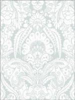 Chatterton Pale Blue and White Wallpaper 942011 by Cole and Son Wallpaper for sale at Wallpapers To Go