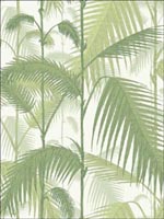 Palm Jungle Olive Green White Wallpaper 951001 by Cole and Son Wallpaper for sale at Wallpapers To Go