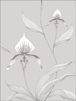 Orchid Grey White Wallpaper 9510055 by Cole and Son Wallpaper for sale at Wallpapers To Go