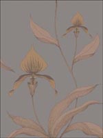 Orchid Bronze Slate Wallpaper 9510056 by Cole and Son Wallpaper for sale at Wallpapers To Go