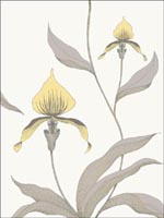 Orchid Yellow White Wallpaper 9510057 by Cole and Son Wallpaper for sale at Wallpapers To Go
