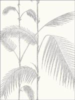 Palm Grey Ivory Wallpaper 951008 by Cole and Son Wallpaper for sale at Wallpapers To Go