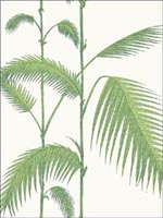 Palm Green White Wallpaper 951009 by Cole and Son Wallpaper for sale at Wallpapers To Go