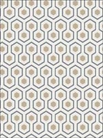 Hicks Hexagon Gilver White Black Wallpaper 953016 by Cole and Son Wallpaper for sale at Wallpapers To Go