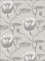 Summer Lily Taupe White Wallpaper 954025 by Cole and Son Wallpaper for sale at Wallpapers To Go