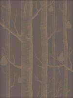 Woods and Pears Bronze Black Wallpaper 955028 by Cole and Son Wallpaper for sale at Wallpapers To Go
