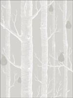 Woods and Pears Grey White Silver Wallpaper 955029 by Cole and Son Wallpaper for sale at Wallpapers To Go