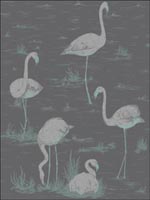 Flamingos Teal Silver Black Wallpaper 958048 by Cole and Son Wallpaper for sale at Wallpapers To Go