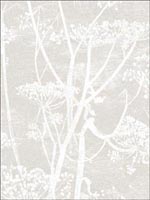 Cow Parsley Linen White Wallpaper 959051 by Cole and Son Wallpaper for sale at Wallpapers To Go
