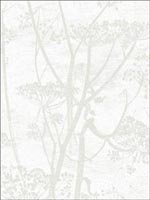 Cow Parsley White Wallpaper 959052 by Cole and Son Wallpaper for sale at Wallpapers To Go