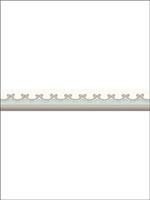 Broderie Duck Egg Border 9914059 by Cole and Son Wallpaper for sale at Wallpapers To Go