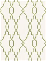 Parterre Leaf Green Wallpaper 992005 by Cole and Son Wallpaper for sale at Wallpapers To Go