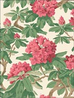 Bourlie Carmine Wallpaper 994019 by Cole and Son Wallpaper for sale at Wallpapers To Go