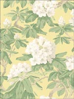 Bourlie Pale Lemon Wallpaper 994021 by Cole and Son Wallpaper for sale at Wallpapers To Go