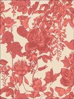 Tivoli Coral Wallpaper 997033 by Cole and Son Wallpaper for sale at Wallpapers To Go