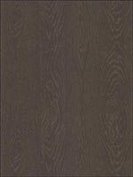 Wood Grain Ash Brown Wallpaper 925025 by Cole and Son Wallpaper for sale at Wallpapers To Go