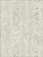 Wood Grain Black and White Wallpaper 925028 by Cole and Son Wallpaper for sale at Wallpapers To Go