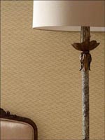 Room23724 by Cole and Son Wallpaper for sale at Wallpapers To Go