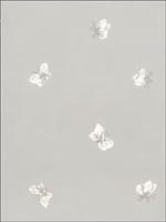 Peaseblossom Grey Wallpaper 10310034 by Cole and Son Wallpaper for sale at Wallpapers To Go