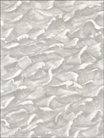 Columbus Black and White Wallpaper 10313055 by Cole and Son Wallpaper for sale at Wallpapers To Go