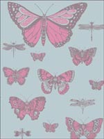 Butterflies and Dragonflies Pink On Blue Wallpaper 10315062 by Cole and Son Wallpaper for sale at Wallpapers To Go