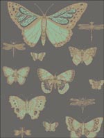 Butterflies and Dragonflies Green On Charcoal Wallpaper 10315067 by Cole and Son Wallpaper for sale at Wallpapers To Go