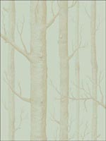 Woods Green and Gold Wallpaper 1035023 by Cole and Son Wallpaper for sale at Wallpapers To Go