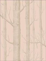 Woods Pink and Gilver Wallpaper 1035024 by Cole and Son Wallpaper for sale at Wallpapers To Go