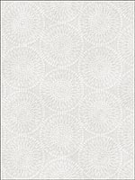 Lace Metallics Wallpaper SD60507 by Pelican Prints Wallpaper for sale at Wallpapers To Go