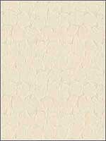 Amour Sheer Beige Drapery Fabric GWF302416 by Groundworks Fabrics for sale at Wallpapers To Go